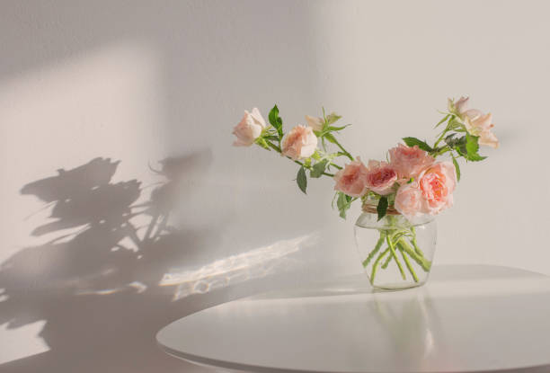 istock pink roses in glass jar on white modern table on background white wall 1474589299