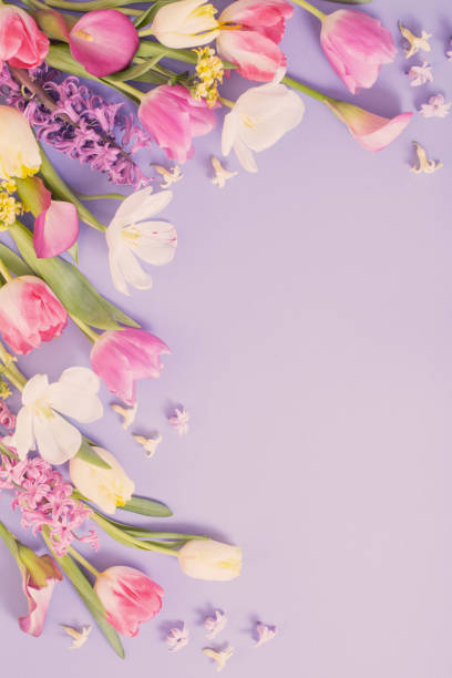 istock multicolored spring flowers on  purple background 1474589313