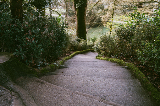 Seattle Japanese Garden, WA, USA