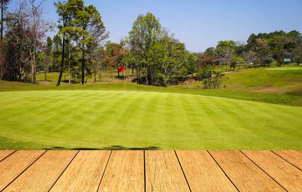 istock Wooden floor and golf course background. Fresh spring green golf course with wood floor 1474593784