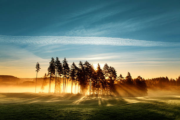 magische licht auf den golfplatz - golf landscape golf course tree stock-fotos und bilder