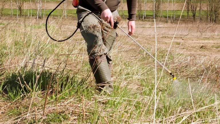 Farmer spraying pesticides and protects field from weeds and tick. Man with spray tank equipment. Tillage from ticks and insects. Springtime farm work. Dry grass. Water jet. Manual labor. Garden care