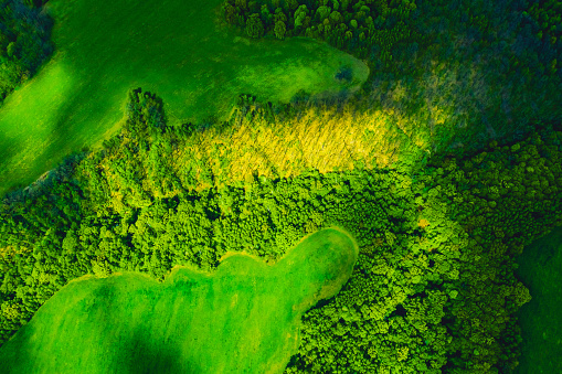 Drone photography. Ecosystem. Biodiversity