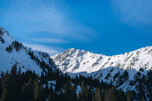 Free Stock Photo of Snow-Covered Mountain and Trees Under Blue Sky ...