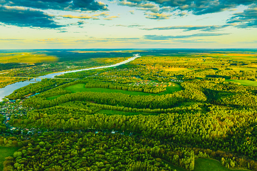 istock Forest aerial view. Drone photography. Spring. Field. Sustainability. Protection of nature 1474600186