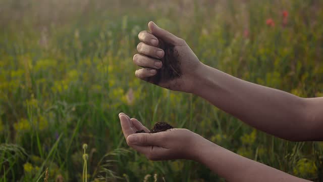 Human hands are pouring a handful of fertile soil against the backdrop of a green field. Fertility and farming concept. Food crisis on earth, famine. Slow motion 200 fps