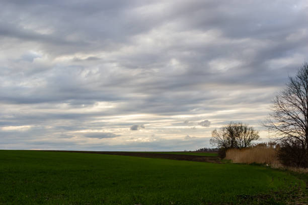 istock View of a spring plowed field, a tree, and a beautiful sky with clouds 1474607290