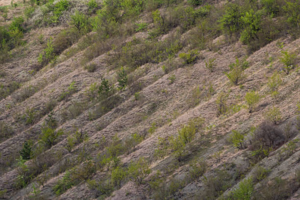 istock View ravine covered with greenery. Landscape valley with geological faults. Earthen mountains and bumps relief on against sky. Hill beam with protrusions and recesses. Grass and trees on slope canyon 1474607303