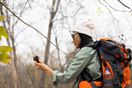 Adventure travel and Camping concept. Joyful woman backpack explores in fore