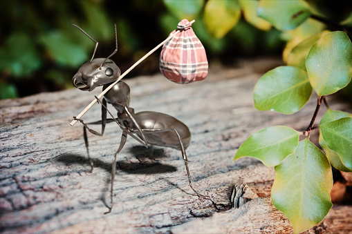 An ant walking on wood with a bundle on a stick.  Concept of leaving home, running away from home or setting out on an adventure. Very high resolution 3D render on a photographic background.