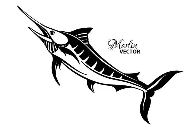 Vector illustration of Marlin fish logo template. Sailfish jumping out of the water.