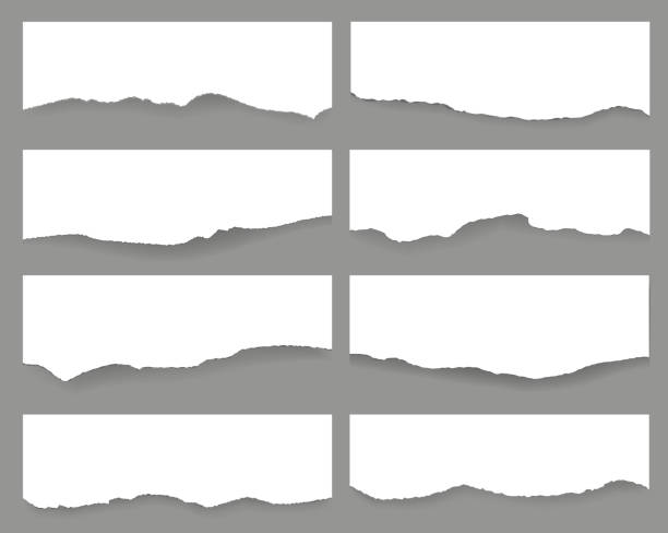 찢어진 종이 컬렉션 격리된 회색 배경 - 카드 인쇄 매체 stock illustrations