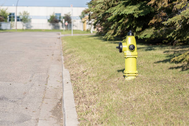 Fire Hydrant beside a city street