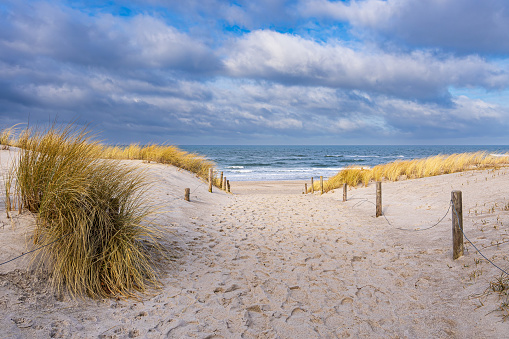 View to beautiful landscape with beach and sand dunes near Henne Strand, North sea coast landscape Jutland Denmark