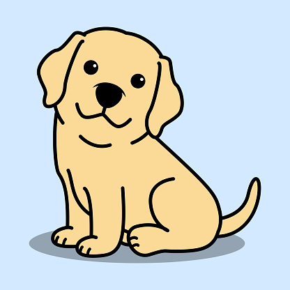 Cute labrador retriever puppy sitting cartoon, vector illustration