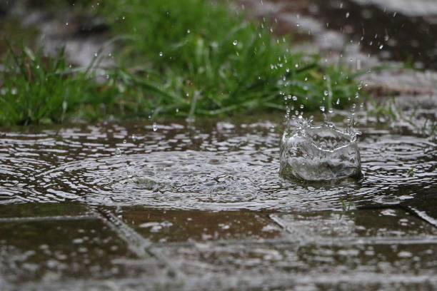 istock rain is falling and splashing on the asphalt in the garden 1474622293
