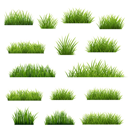 Grass Frame And Isolated White Background With Gradient Mesh, Vector Illustration