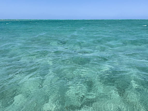 istock Indian Ocean turquoise water off Ile aux Cerfs, Mauritius 1474623078