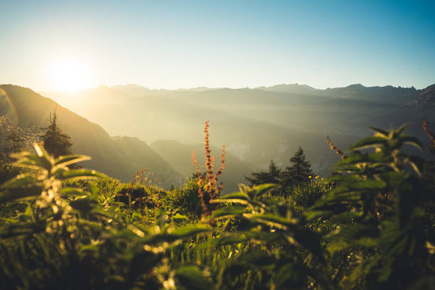 Last Daylight in the Swiss Alps, Surselva Valley