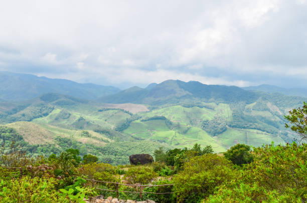 istock Tea Gardens at Munnar, Kerala, India 1474626853