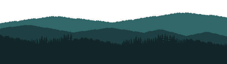 Forest blackforest vector illustration banner landscape panorama - Green silhouette of spruce and fir trees, isolated on white background