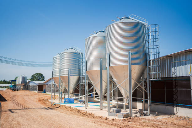istock Commercial chicken farm 1474631989