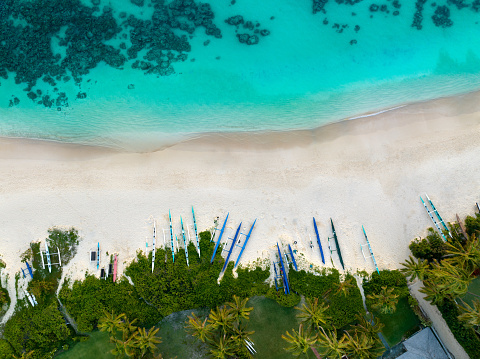 Beautiful Hawaiin beach with palm trees