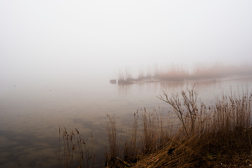 a foggy landscape inside the lagoon of the Delta of the Po River during the winter season, Porto Tolle, Rovigo