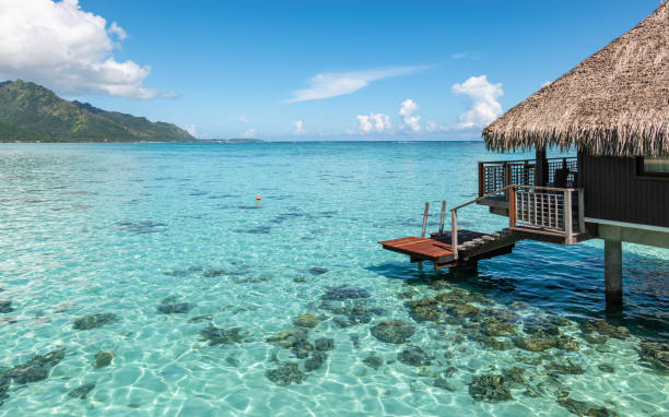 Tropical lagoon in Moorea, French Polynesia.