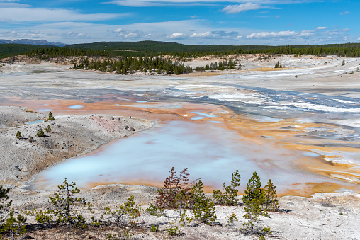 Scenic view over colorful Norris Geyser Basin in Yellowstone National Park