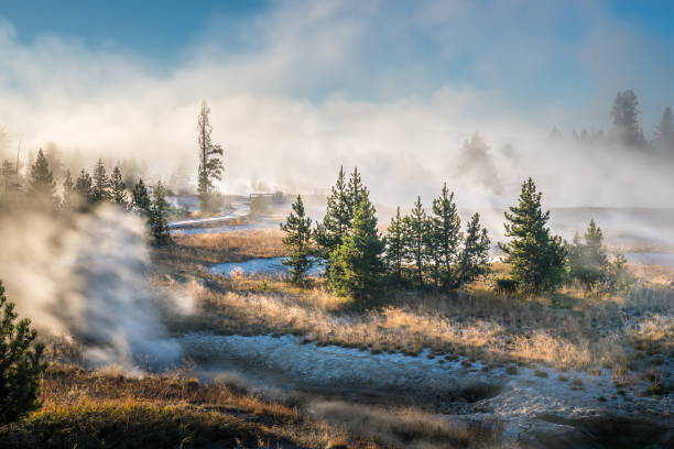 istock Fog and steam surrounding trees at sunrise creating mysterious and adventorous atmosphere 1474640301