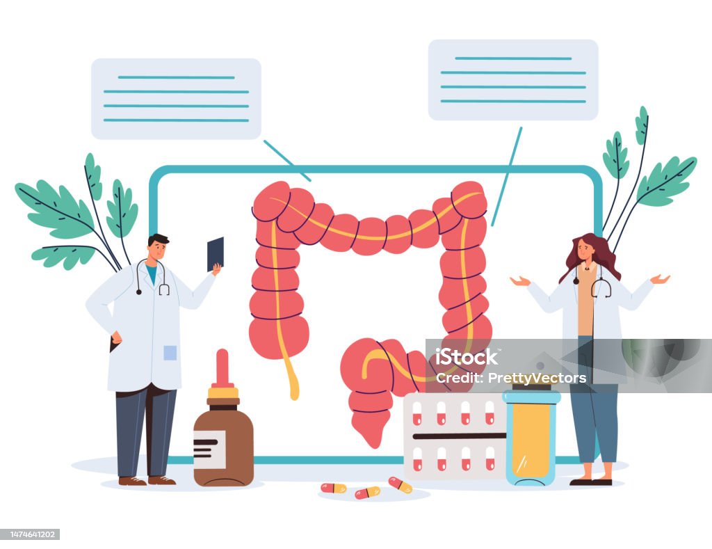 Intestine Internal Organ Disease Check Diagnostic Concept Vector ...