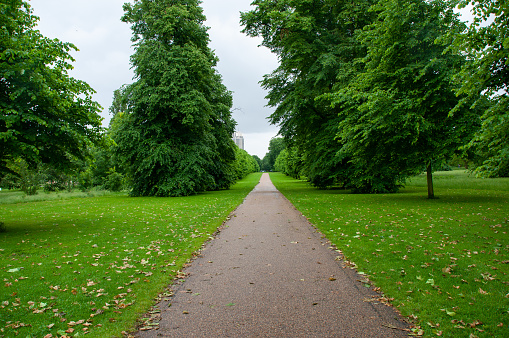 A park pathway with green grass and trees on an overcast day in London