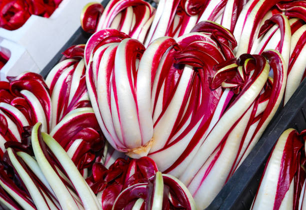 sale of red radicchio called TARDIVO an Italian winter food speciality sale of red radicchio called TARDIVO an Italian winter speciality radicchio tardivo stock pictures, royalty-free photos & images