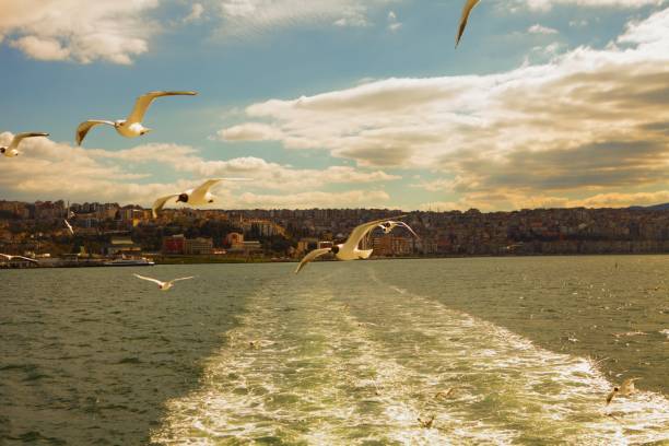 istock Feeding Seagulls on the Ferry 1474648597