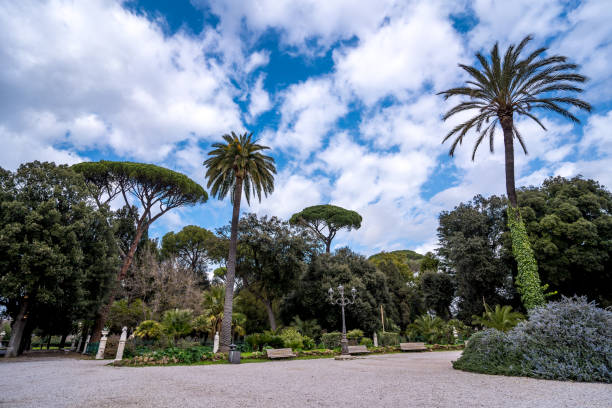 istock Tropical trees in the Villa Borghese park in Rome 1474651031