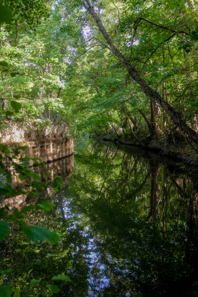 istock Forest lined Yerres river in Montgeron, France 1474655367