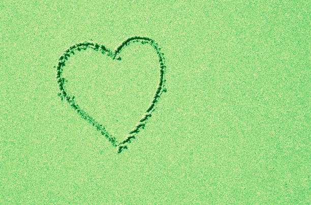 One bright glowing white color plain blank empty paper cut in heart shape with copy space placed on  green palm plant leaves dark backdrop,  ideal for love note template