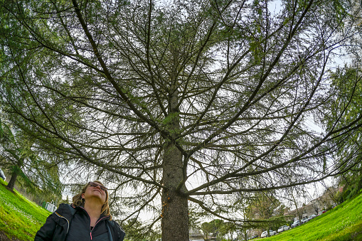 Donna nel parco sotto un pino