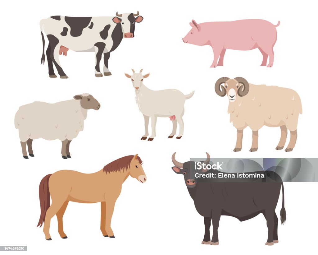 Farm Or Domestic Animal Icons Cow Bull Sheep Pig Ram Horse And ...