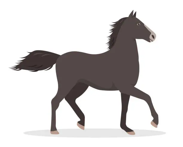 Vector illustration of Black running Horse icon. Farm domestic animal isolated on white background.