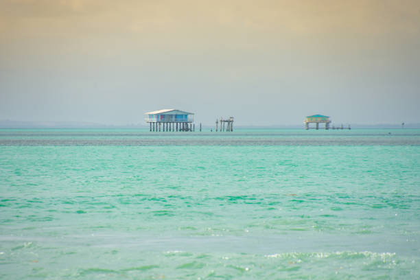 view of part of Key Biscane bay near miami florida