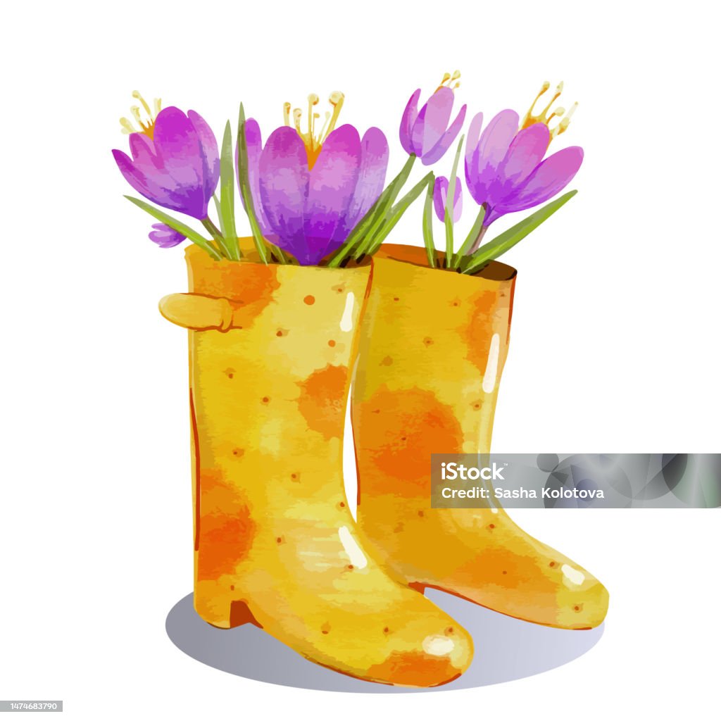 Yellow Galoshes With Purple Crocus Flowers A Vector Illustration In ...