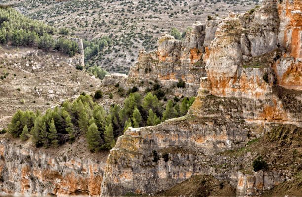 istock Vultures Viewpoint. Calmarza 1474687560