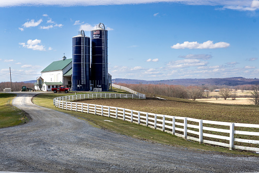 Distant farm in the background of a mature crop of corn.