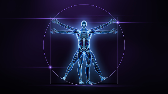 Anterior or front view of the human male body and bones xray 3D rendering illustration. Skeleton or skeletal system anatomy, medical, science, biology, medicine, osteology, biomechanics concepts.