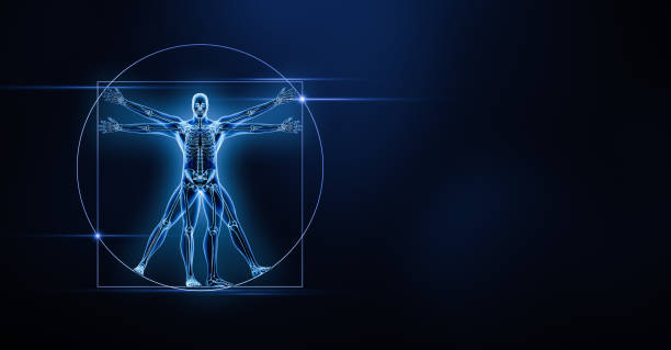 istock Human male body and bones xray 3D rendering illustration with copy space on blue background. Skeleton or skeletal anatomy, medical, healthcare, science, biology, osteology concepts. 1474692154