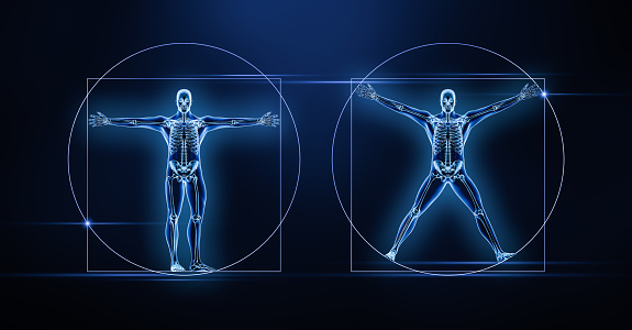 Two anterior or front views of the human male body and skeleton xray 3D rendering illustration on blue background. Anatomy, medical, skeletal or bone system, science, biology, osteology concepts.