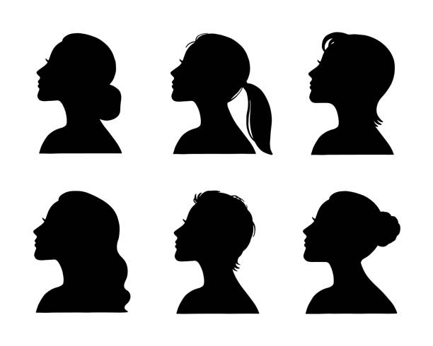 ilustraciones, imágenes clip art, dibujos animados e iconos de stock de siluetas elegantes femeninas con diferentes peinados. - ponytail side view women human head