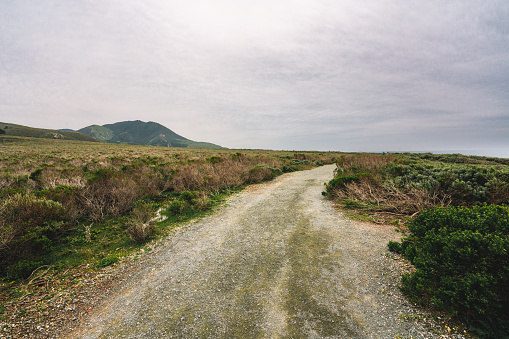 Walking path along the coastline in Montana de Oro State Park, Central California Coast